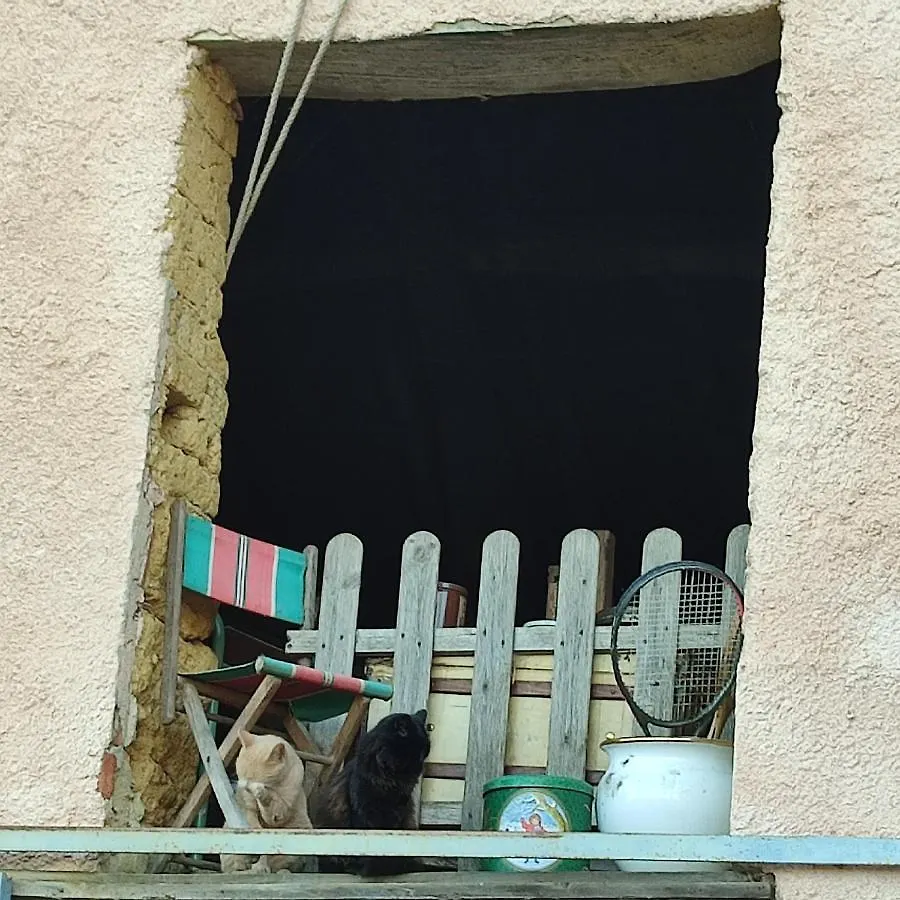 Gite A La Ferme Avec Piscine Bernadets-Debat Holiday home